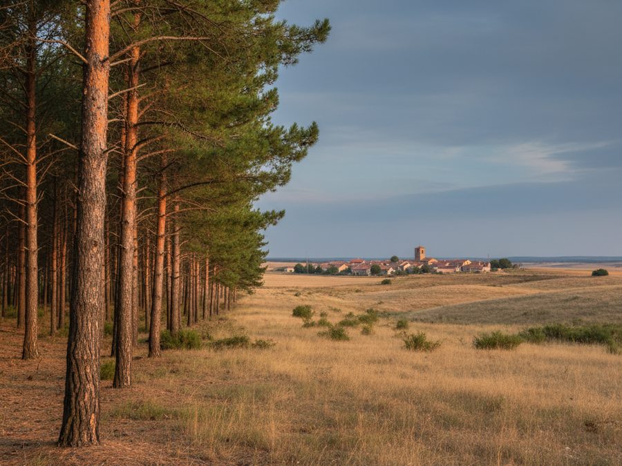 Paisaje de Segovia